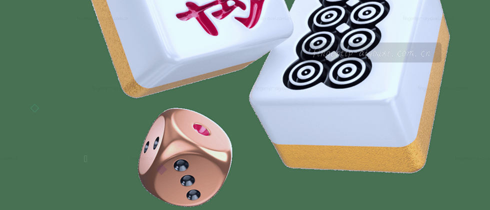 隐私取舍 我的数据说明